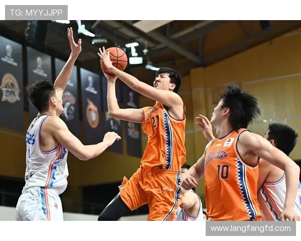 上海CBA篮球队全名及历史简介